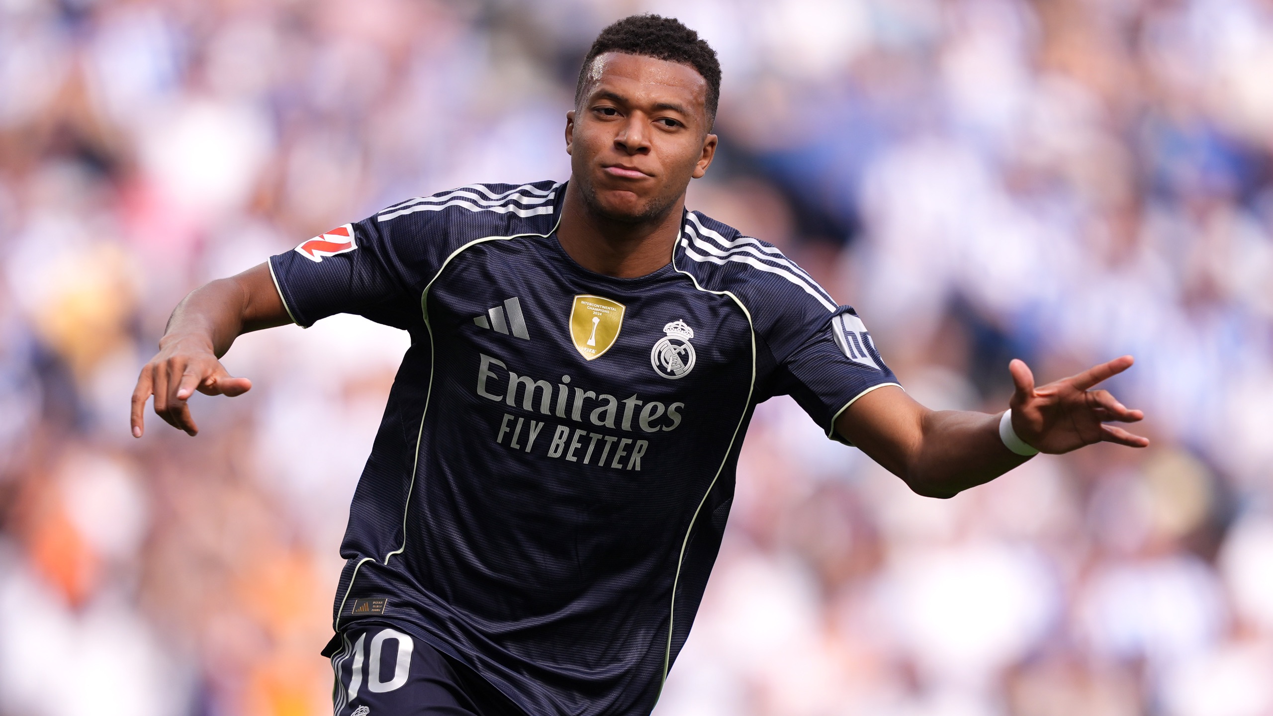 综合格斗赛事看点集中